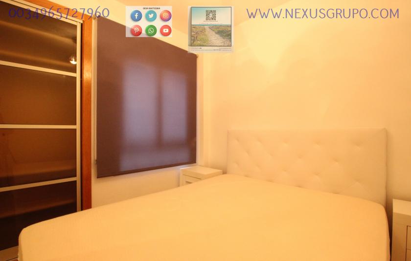 REAL ESTATE, GRUPO NEXUS RENTS APARTMENT FOR THE WHOLE YEAR, IN DUNAS DE GUARDAMAR DEL SEGURA STREET in Nexus Grupo