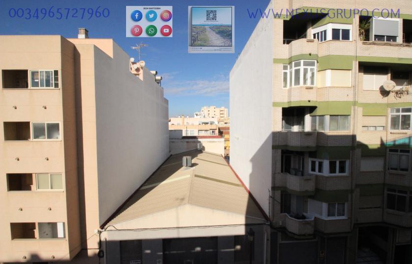 INMOBILIARIA, GRUPO NEXUS ALQUILA PISO PARA TODO EL AÑO, EN CALLE DUNAS DE GUARDAMAR DEL SEGURA in Nexus Grupo