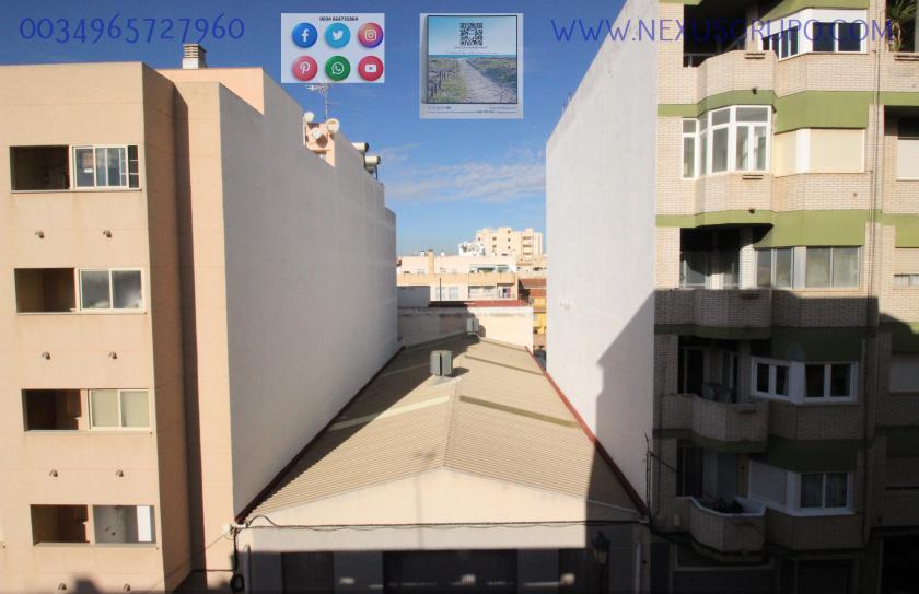 REAL ESTATE, GRUPO NEXUS RENTS APARTMENT FOR THE WHOLE YEAR, IN DUNAS DE GUARDAMAR DEL SEGURA STREET in Nexus Grupo