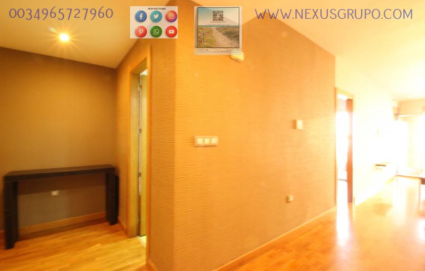 REAL ESTATE, GRUPO NEXUS RENTS APARTMENT FOR THE WHOLE YEAR, IN DUNAS DE GUARDAMAR DEL SEGURA STREET in Nexus Grupo