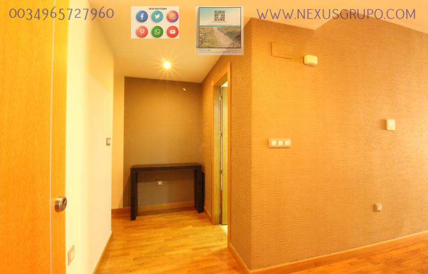 REAL ESTATE, GRUPO NEXUS RENTS APARTMENT FOR THE WHOLE YEAR, IN DUNAS DE GUARDAMAR DEL SEGURA STREET in Nexus Grupo