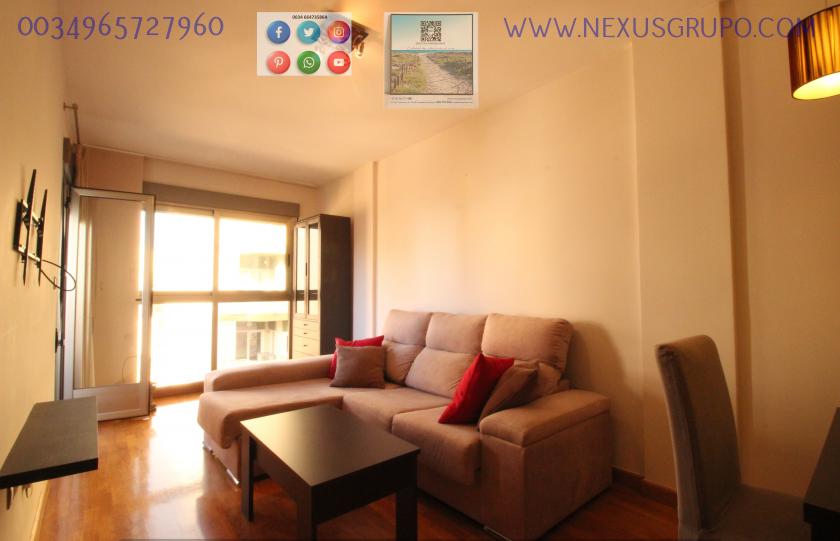 REAL ESTATE, GRUPO NEXUS RENTS APARTMENT FOR THE WHOLE YEAR, IN DUNAS DE GUARDAMAR DEL SEGURA STREET in Nexus Grupo