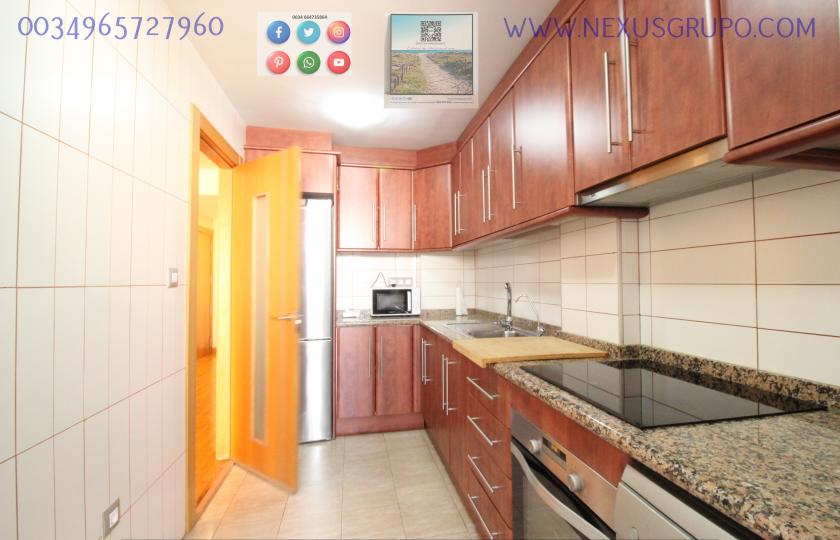 REAL ESTATE, GRUPO NEXUS RENTS APARTMENT FOR THE WHOLE YEAR, IN DUNAS DE GUARDAMAR DEL SEGURA STREET in Nexus Grupo