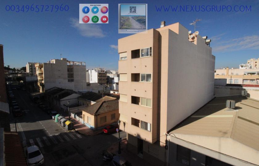 REAL ESTATE, GRUPO NEXUS RENTS APARTMENT FOR THE WHOLE YEAR, IN DUNAS DE GUARDAMAR DEL SEGURA STREET in Nexus Grupo