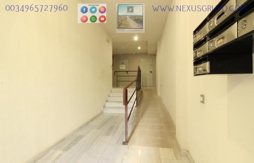 REAL ESTATE, GRUPO NEXUS RENTS APARTMENT FOR THE WHOLE YEAR, IN DUNAS DE GUARDAMAR DEL SEGURA STREET in Nexus Grupo