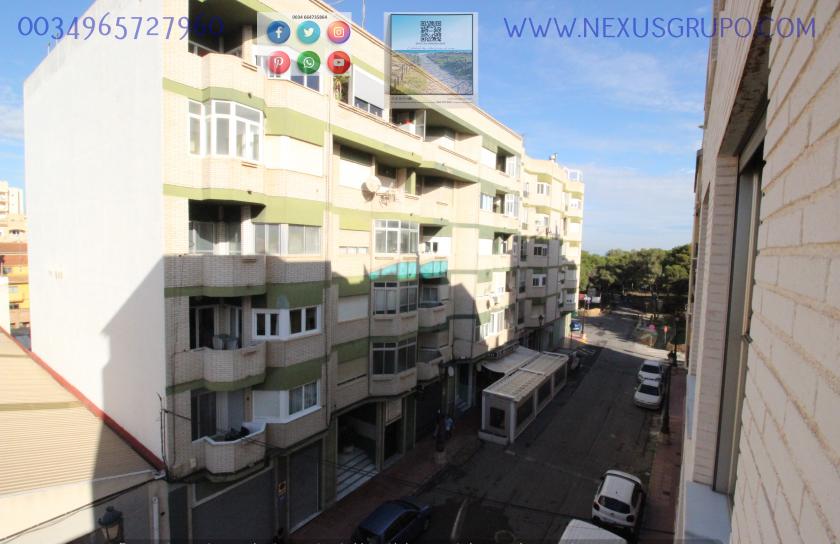 REAL ESTATE, GRUPO NEXUS RENTS APARTMENT FOR THE WHOLE YEAR, IN DUNAS DE GUARDAMAR DEL SEGURA STREET in Nexus Grupo