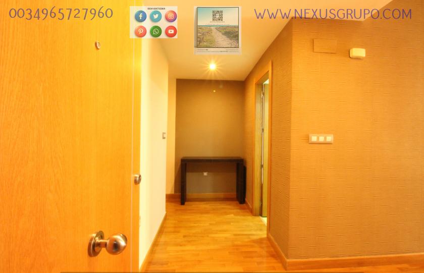 REAL ESTATE, GRUPO NEXUS RENTS APARTMENT FOR THE WHOLE YEAR, IN DUNAS DE GUARDAMAR DEL SEGURA STREET in Nexus Grupo