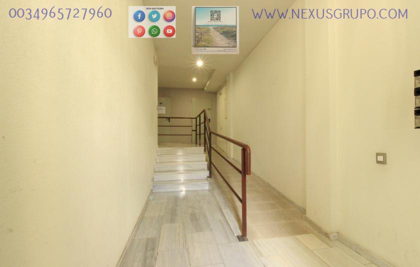 REAL ESTATE, GRUPO NEXUS RENTS APARTMENT FOR THE WHOLE YEAR, IN DUNAS DE GUARDAMAR DEL SEGURA STREET in Nexus Grupo