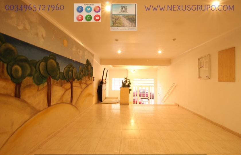 REAL ESTATE, NEXUS GROUP, SELLS GROUND FLOOR APARTMENT, GUARDAMAR DEL SEGURA in Nexus Grupo