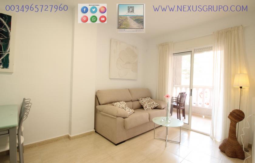 INMOBILIARIA, GRUPO NEXUS, VENDE PISO EN PLANTA BAJA, GUARDAMAR DEL SEGURA in Nexus Grupo