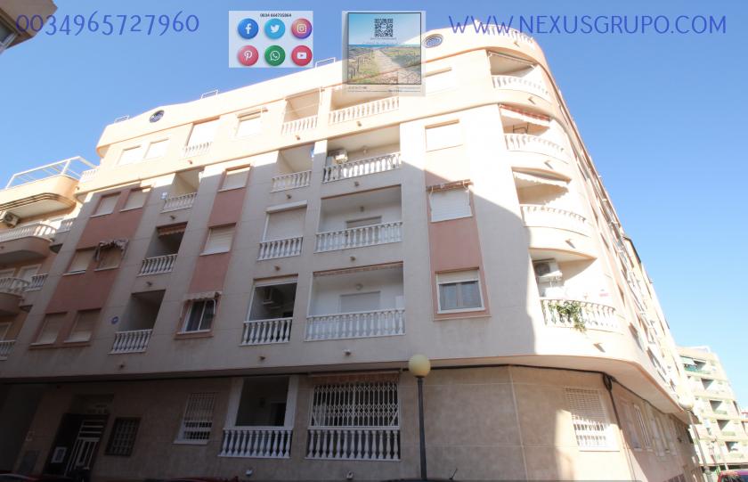 REAL ESTATE, NEXUS GROUP, SELLS GROUND FLOOR APARTMENT, GUARDAMAR DEL SEGURA in Nexus Grupo