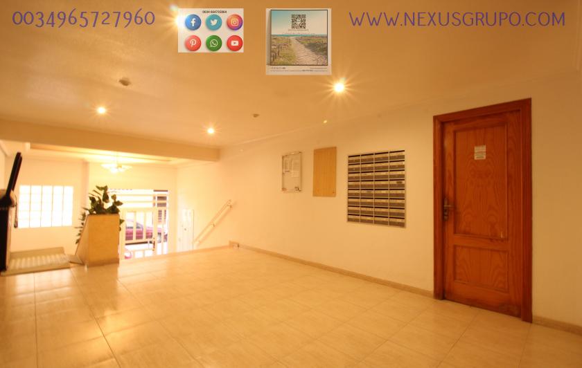 REAL ESTATE, NEXUS GROUP, SELLS GROUND FLOOR APARTMENT, GUARDAMAR DEL SEGURA in Nexus Grupo