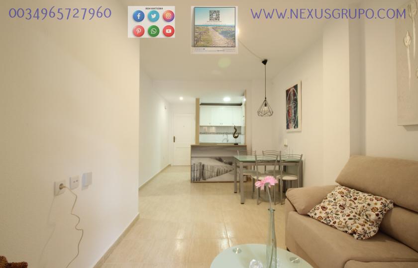 INMOBILIARIA, GRUPO NEXUS, VENDE PISO EN PLANTA BAJA, GUARDAMAR DEL SEGURA in Nexus Grupo