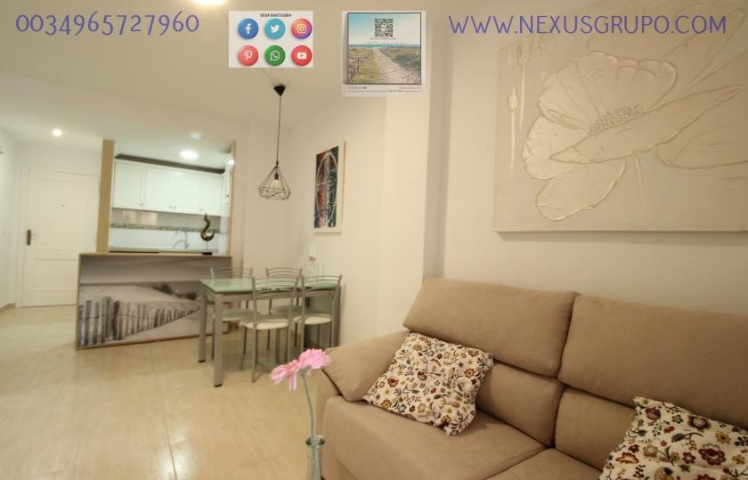 INMOBILIARIA, GRUPO NEXUS, VENDE PISO EN PLANTA BAJA, GUARDAMAR DEL SEGURA in Nexus Grupo