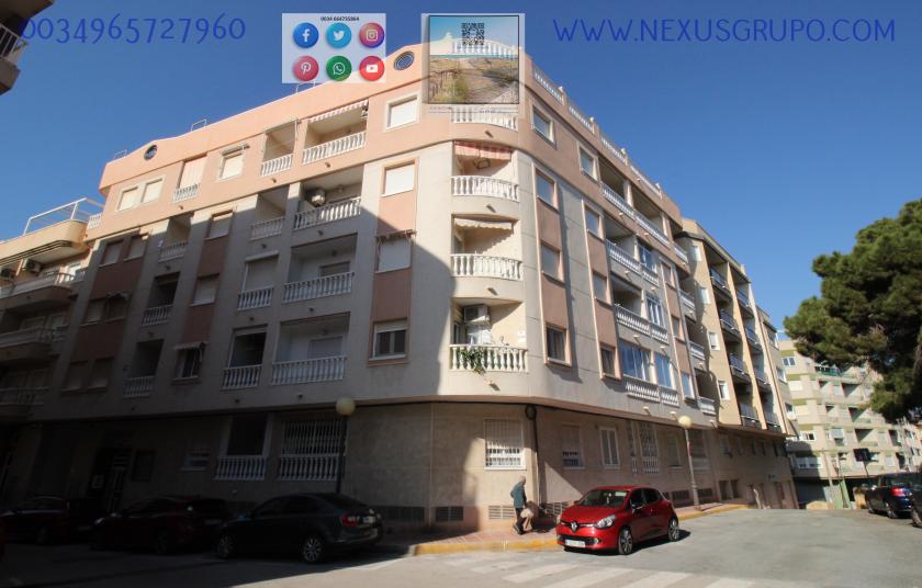 REAL ESTATE, NEXUS GROUP, SELLS GROUND FLOOR APARTMENT, GUARDAMAR DEL SEGURA in Nexus Grupo