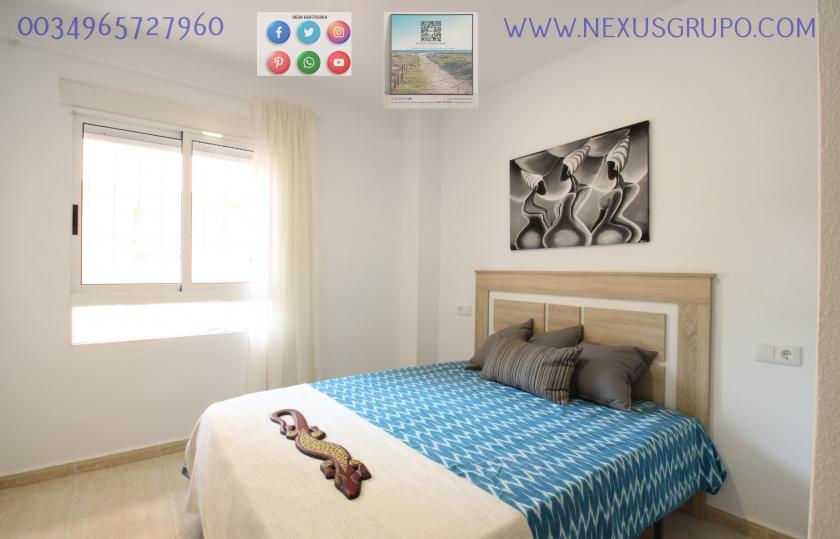 INMOBILIARIA, GRUPO NEXUS, VENDE PISO EN PLANTA BAJA, GUARDAMAR DEL SEGURA in Nexus Grupo