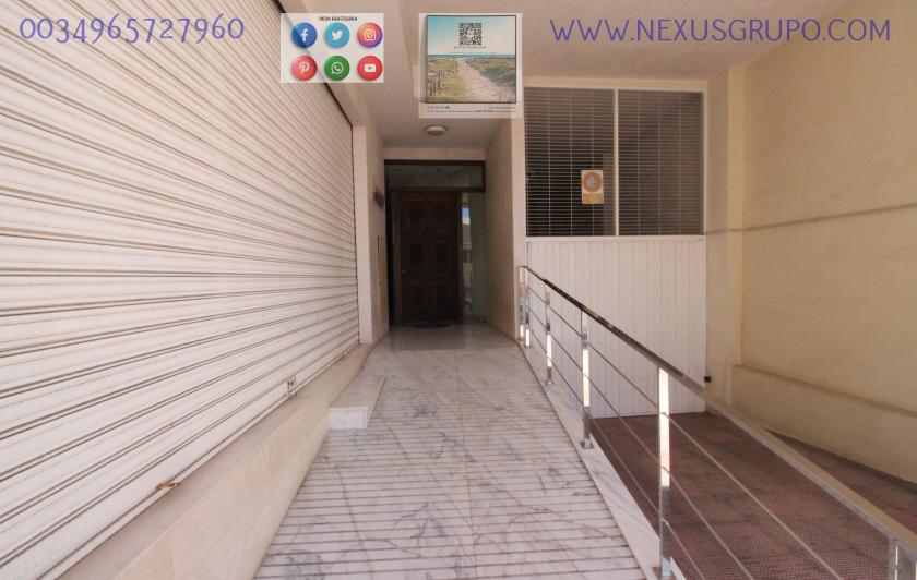 REAL ESTATE, GRUPO NEXUS, RENT APARTMENT FOR THE WHOLE YEAR IN CALLE SAN JOSÉ in Nexus Grupo