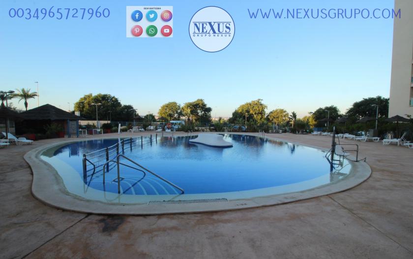 REAL ESTATE, GRUPO NEXUS, RENT APARTMENT FOR SUMMER TIMES ON AVENIDA DEL PUERTO in Nexus Grupo