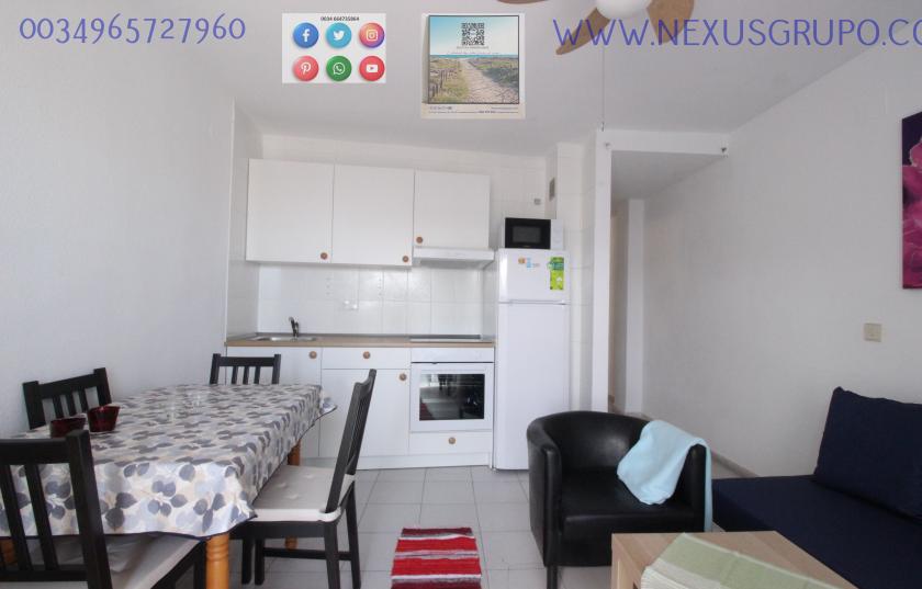 REAL ESTATE, NEXUS GROUP, RENT APARTMENT FOR THE WHOLE YEAR, IN GUARDAMAR DEL SEGURA in Nexus Grupo