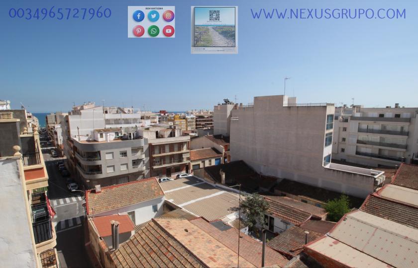 REAL ESTATE, NEXUS GROUP, RENT APARTMENT FOR THE WHOLE YEAR, IN GUARDAMAR DEL SEGURA in Nexus Grupo