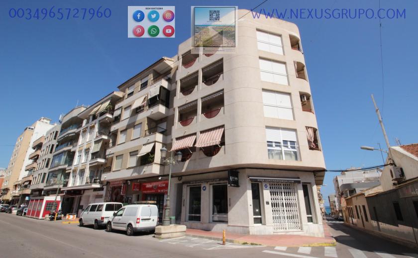 REAL ESTATE, NEXUS GROUP, RENT APARTMENT FOR THE WHOLE YEAR, IN GUARDAMAR DEL SEGURA in Nexus Grupo