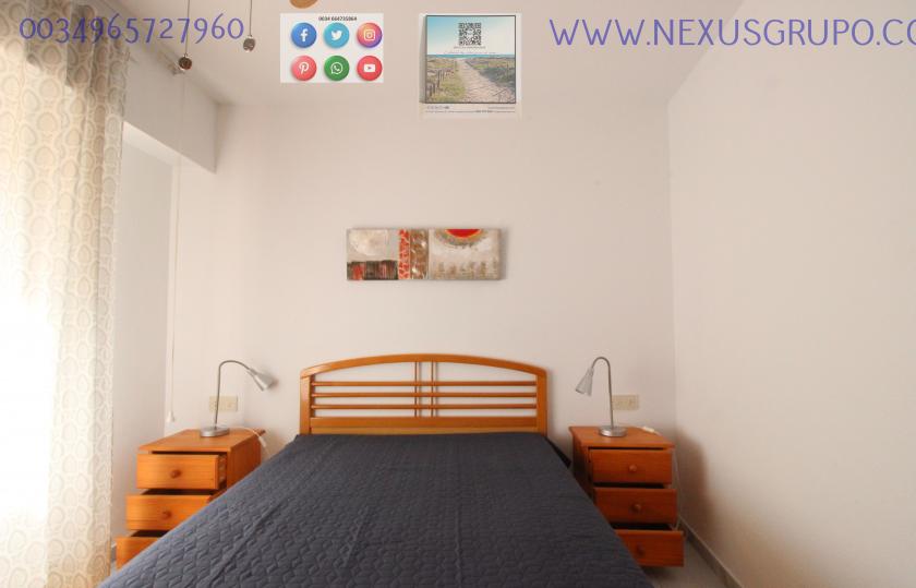 REAL ESTATE, NEXUS GROUP, RENT APARTMENT FOR THE WHOLE YEAR, IN GUARDAMAR DEL SEGURA in Nexus Grupo