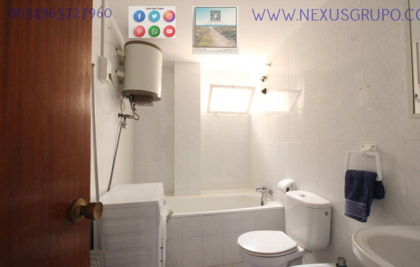 REAL ESTATE, NEXUS GROUP, RENT APARTMENT FOR THE WHOLE YEAR, IN GUARDAMAR DEL SEGURA in Nexus Grupo