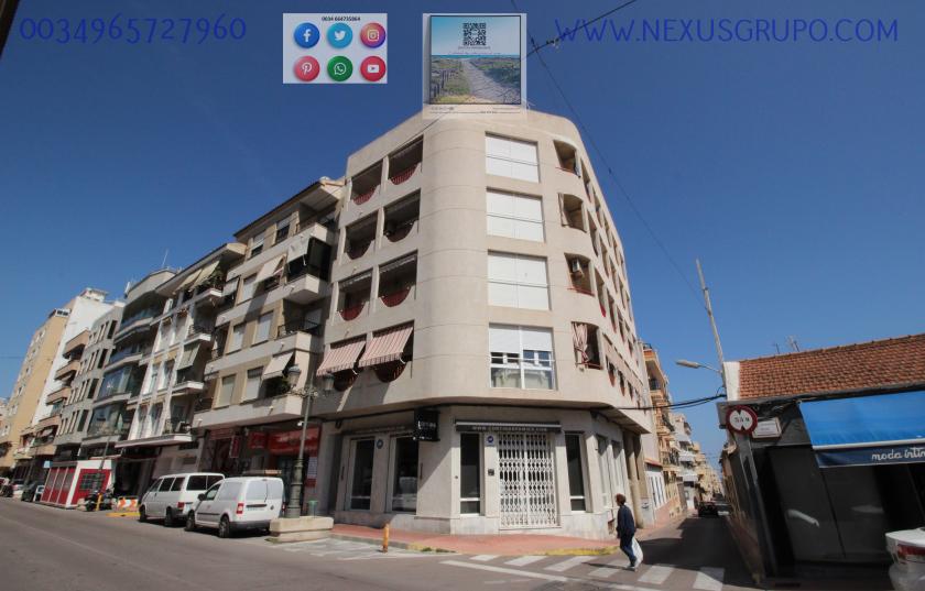 REAL ESTATE, NEXUS GROUP, RENT APARTMENT FOR THE WHOLE YEAR, IN GUARDAMAR DEL SEGURA in Nexus Grupo