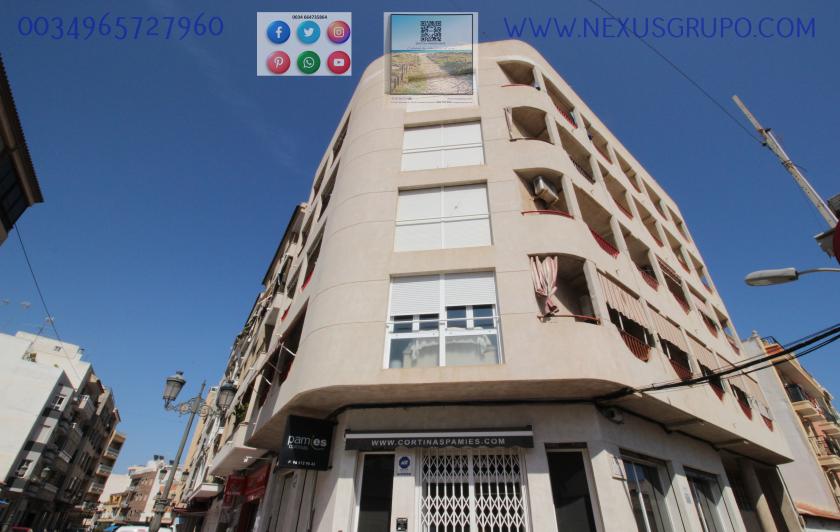 REAL ESTATE, NEXUS GROUP, RENT APARTMENT FOR THE WHOLE YEAR, IN GUARDAMAR DEL SEGURA in Nexus Grupo