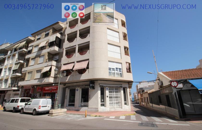 REAL ESTATE, NEXUS GROUP, RENT APARTMENT FOR THE WHOLE YEAR, IN GUARDAMAR DEL SEGURA in Nexus Grupo