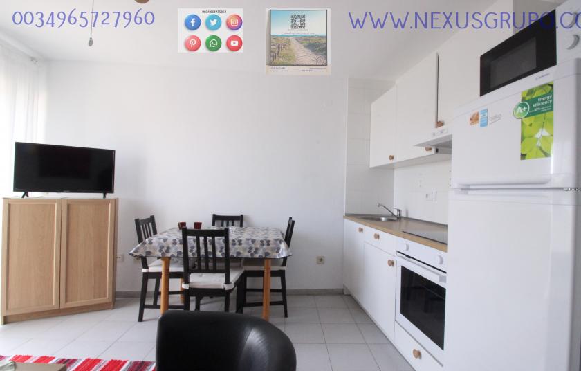 REAL ESTATE, NEXUS GROUP, RENT APARTMENT FOR THE WHOLE YEAR, IN GUARDAMAR DEL SEGURA in Nexus Grupo