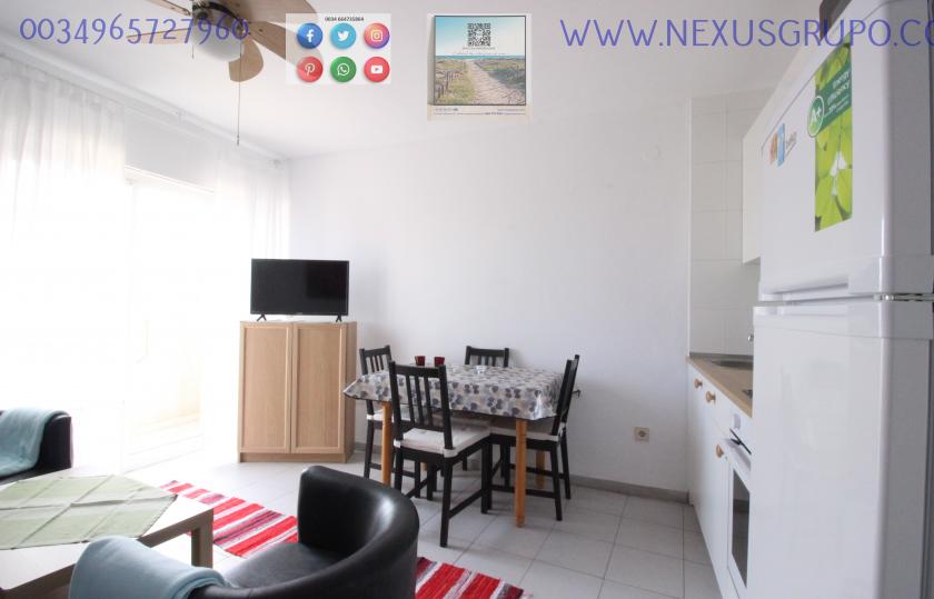 REAL ESTATE, NEXUS GROUP, RENT APARTMENT FOR THE WHOLE YEAR, IN GUARDAMAR DEL SEGURA in Nexus Grupo