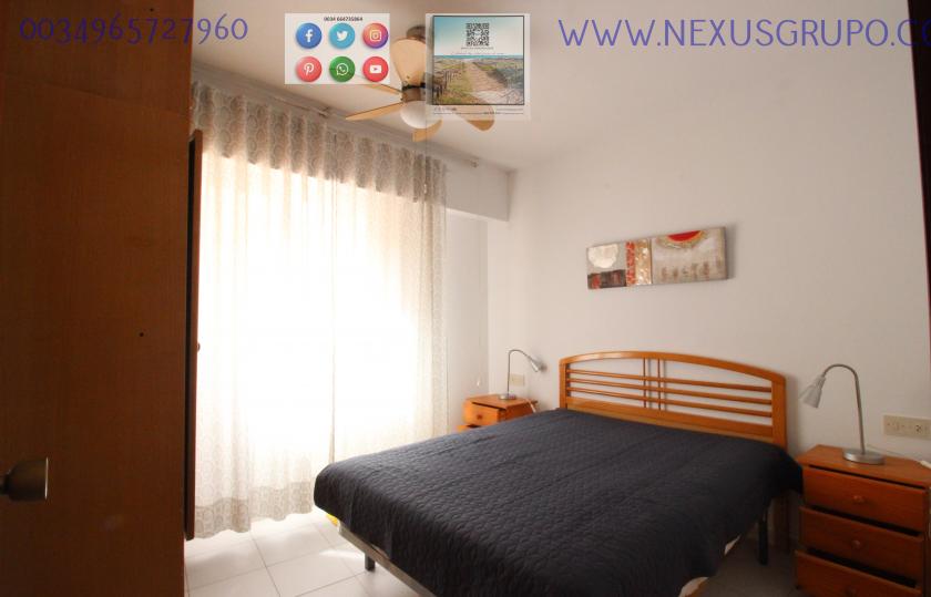 REAL ESTATE, NEXUS GROUP, RENT APARTMENT FOR THE WHOLE YEAR, IN GUARDAMAR DEL SEGURA in Nexus Grupo