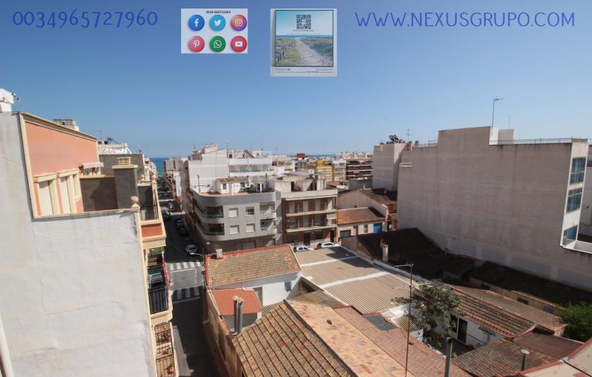 REAL ESTATE, NEXUS GROUP, RENT APARTMENT FOR THE WHOLE YEAR, IN GUARDAMAR DEL SEGURA in Nexus Grupo