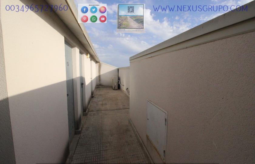 INMOBILIARIA, GRUPO NEXUS, VENDE PISO DE OBRA NUEVA EN DOLORES in Nexus Grupo