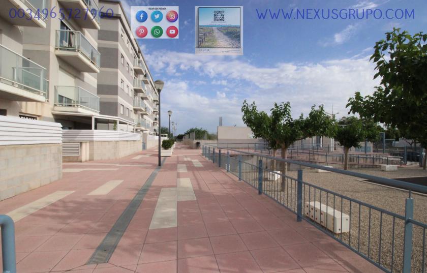 INMOBILIARIA, GRUPO NEXUS, VENDE PISO DE OBRA NUEVA EN DOLORES in Nexus Grupo