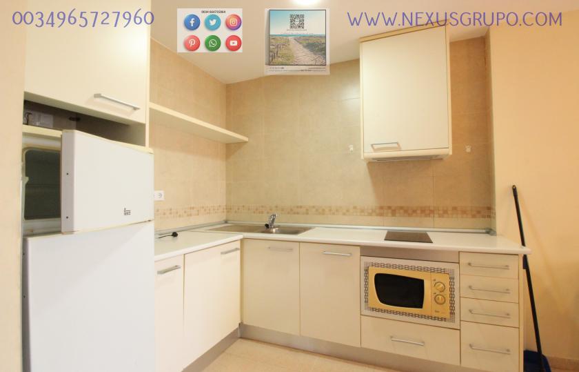 REAL ESTATE, NEXUS GROUP, RENT TOURIST APARTMENT  in Nexus Grupo