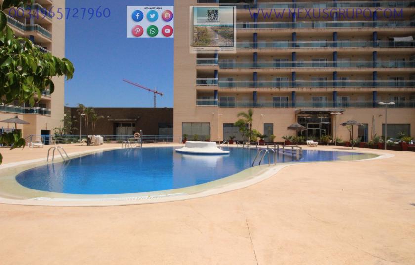 REAL ESTATE, NEXUS GROUP, RENT TOURIST APARTMENT  in Nexus Grupo