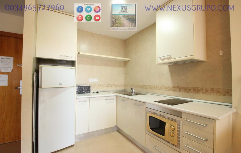 REAL ESTATE, NEXUS GROUP, RENT TOURIST APARTMENT  in Nexus Grupo