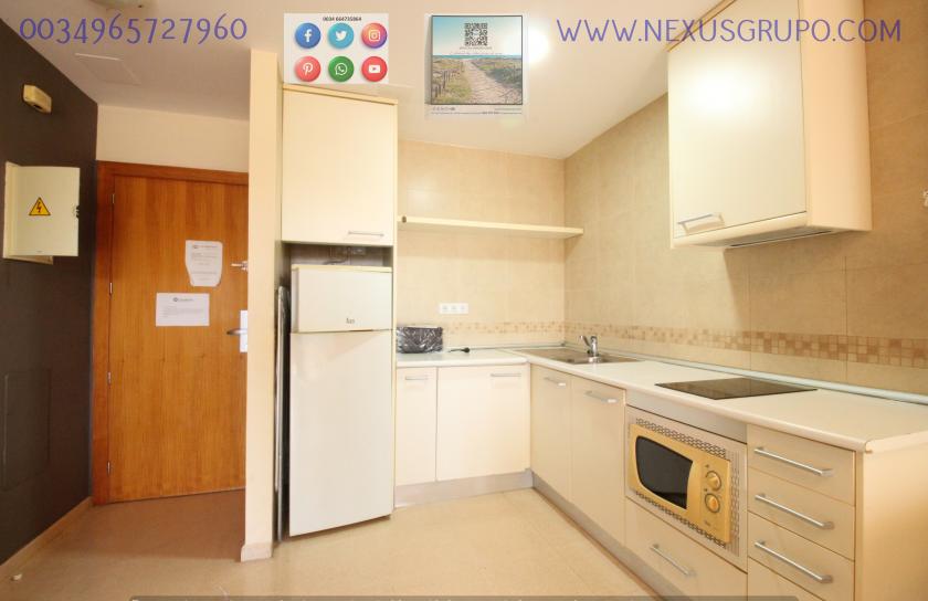 REAL ESTATE, NEXUS GROUP, RENT TOURIST APARTMENT  in Nexus Grupo