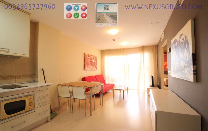 REAL ESTATE, NEXUS GROUP, RENT TOURIST APARTMENT  in Nexus Grupo