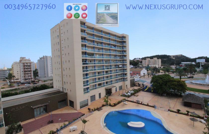 INMOBILIARIA, GRUPO NEXUS, ALQUILA PISO TURÍSTICO  in Nexus Grupo