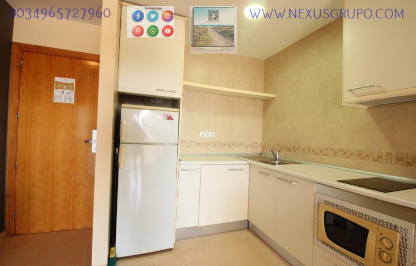 REAL ESTATE GROUP NEXUS, RENT TOURIST APARTMENT FOR THE WHOLE YEAR in Nexus Grupo