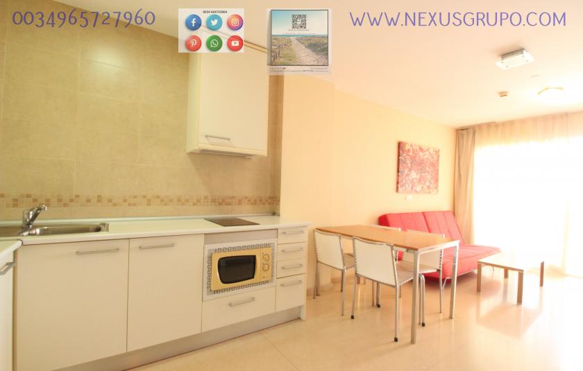 REAL ESTATE GROUP NEXUS, RENT TOURIST APARTMENT FOR THE WHOLE YEAR in Nexus Grupo