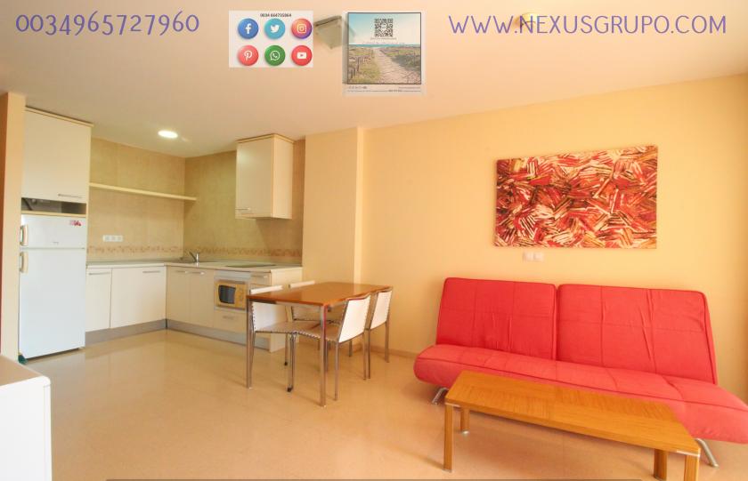 REAL ESTATE GROUP NEXUS, RENT TOURIST APARTMENT FOR THE WHOLE YEAR in Nexus Grupo