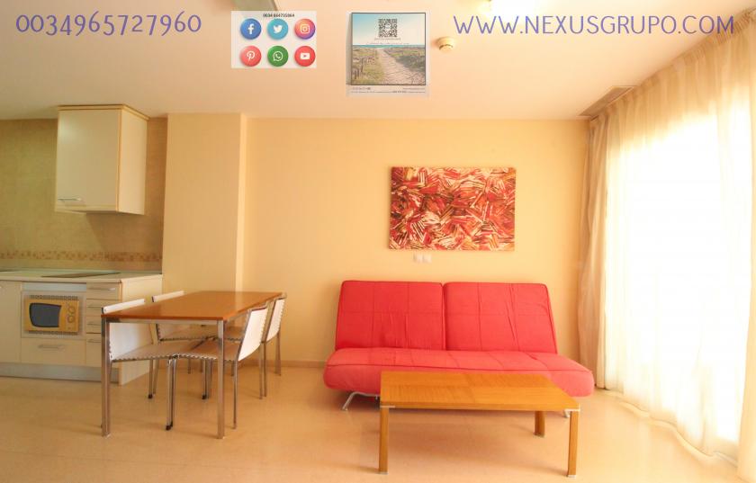 REAL ESTATE GROUP NEXUS, RENT TOURIST APARTMENT FOR THE WHOLE YEAR in Nexus Grupo