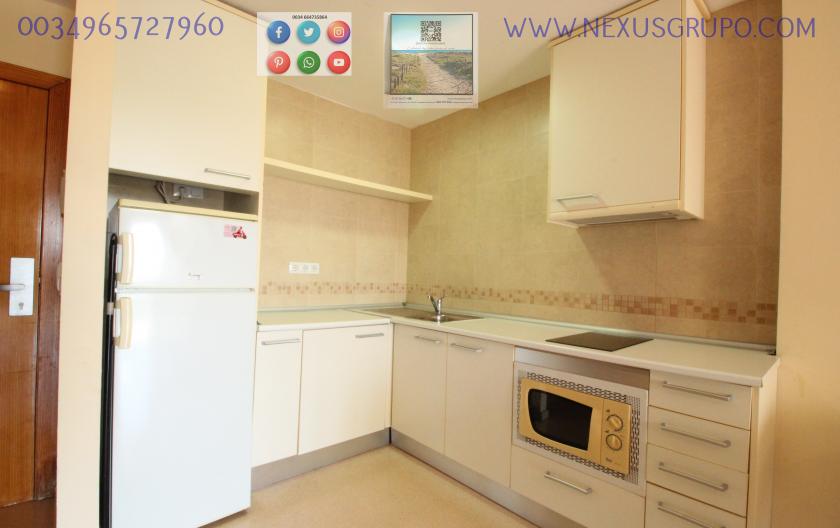 REAL ESTATE GROUP NEXUS, RENT TOURIST APARTMENT FOR THE WHOLE YEAR in Nexus Grupo