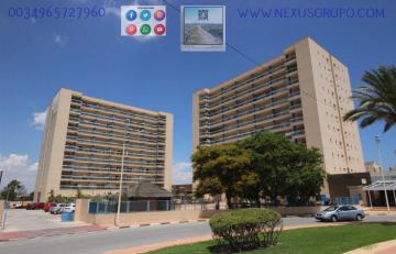 INMOBILIARIA GRUPO NEXUS, ALQUILA PISO TURÍSTICO PARA TODO EL AÑO in Nexus Grupo