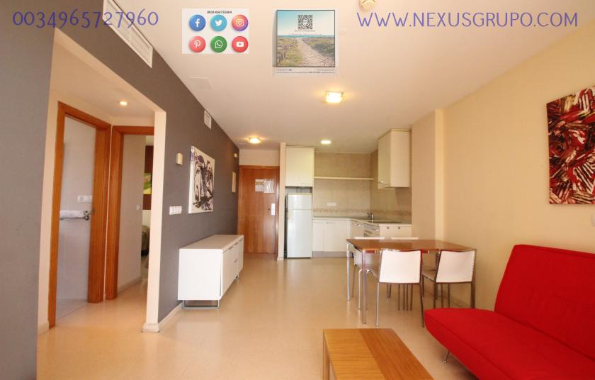 INMOBILIARIA, GRUPO NEXUS ALQUILA PISO TURÍSTICO PARA TODO EL AÑO in Nexus Grupo