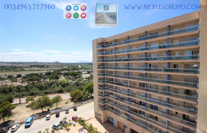 INMOBILIARIA, GRUPO NEXUS ALQUILA PISO TURÍSTICO PARA TODO EL AÑO in Nexus Grupo